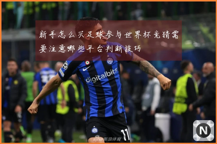 新手怎么买足球参与世界杯竞猜需要注意哪些平台判断技巧