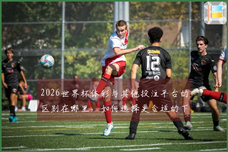 2026世界杯体彩与其他投注平台的区别在哪里，如何选择更合适的下注方式？
