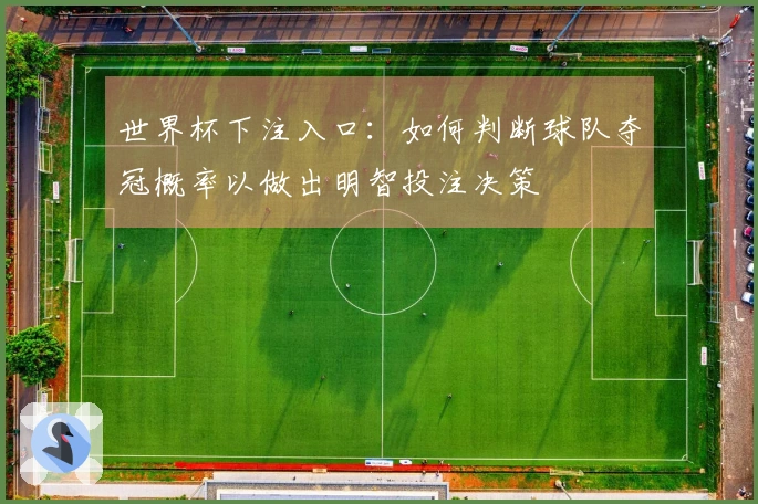 世界杯下注入口：如何判断球队夺冠概率以做出明智投注决策