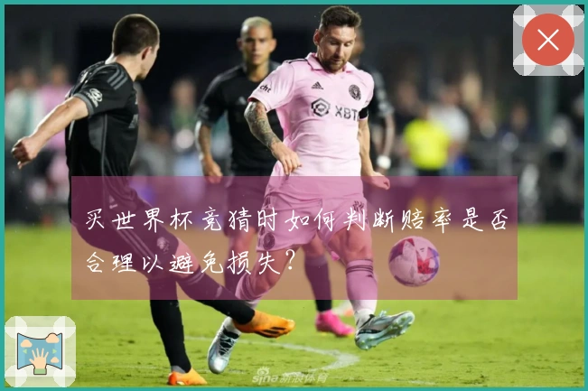 买世界杯竞猜时如何判断赔率是否合理以避免损失?