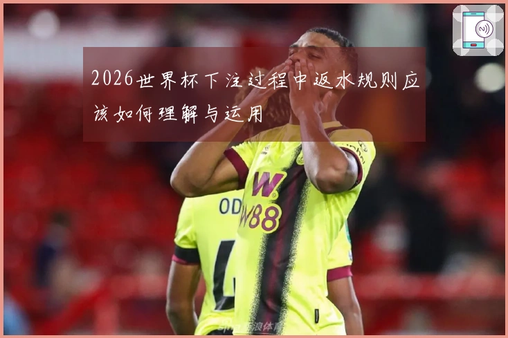 2026世界杯下注过程中返水规则应该如何理解与运用