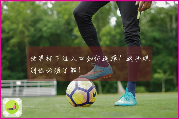 世界杯下注入口如何选择？这些规则你必须了解！