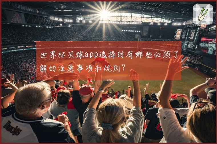 世界杯买球app选择时有哪些必须了解的注意事项和规则？