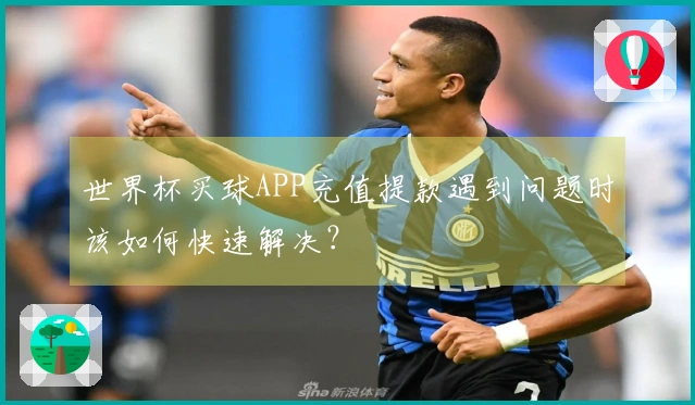 世界杯买球APP充值提款遇到问题时该如何快速解决？