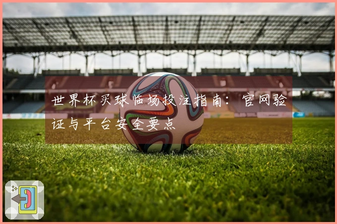 世界杯买球临场投注指南：官网验证与平台安全要点