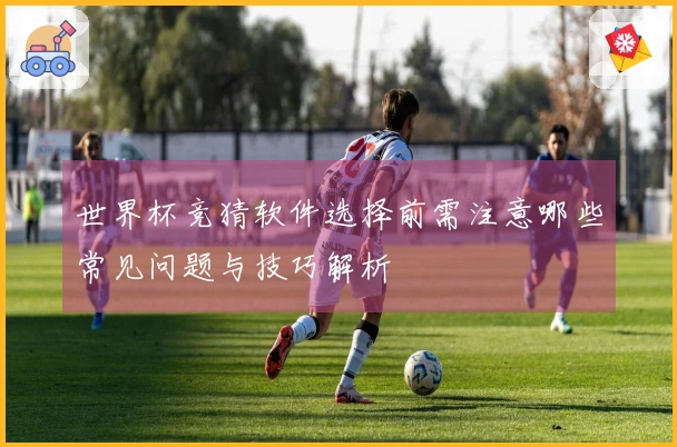 世界杯竞猜软件选择前需注意哪些常见问题与技巧解析