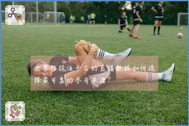 世界杯投注平台的直播数据如何选择最可靠的参考来源？