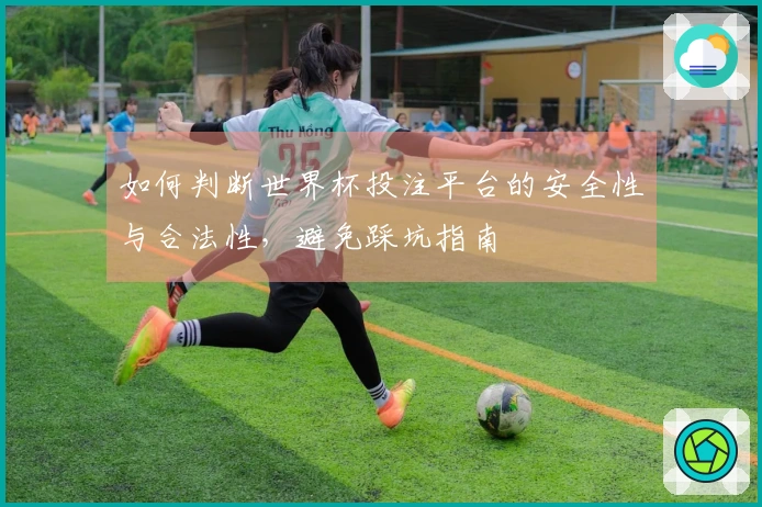 如何判断世界杯投注平台的安全性与合法性，避免踩坑指南