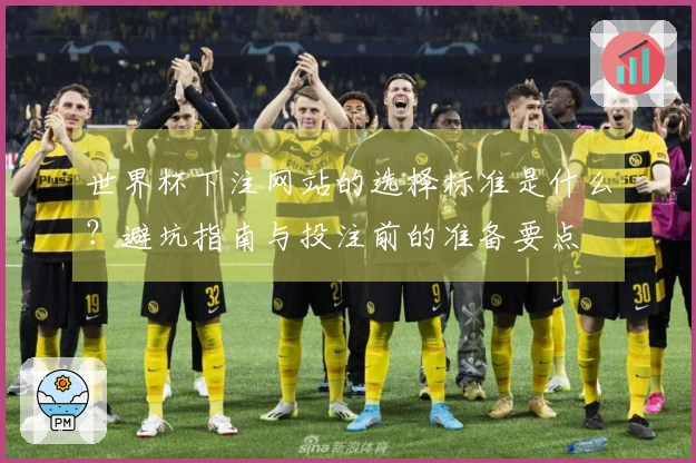 世界杯下注网站的选择标准是什么？避坑指南与投注前的准备要点