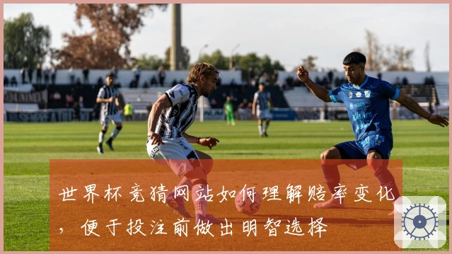 世界杯竞猜网站如何理解赔率变化，便于投注前做出明智选择
