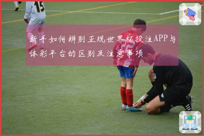 新手如何辨别正规世界杯投注APP与体彩平台的区别及注意事项