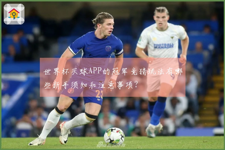 世界杯买球APP的冠军竞猜玩法有哪些新手须知和注意事项？