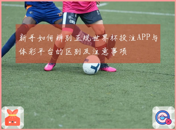 新手如何辨别正规世界杯投注APP与体彩平台的区别及注意事项