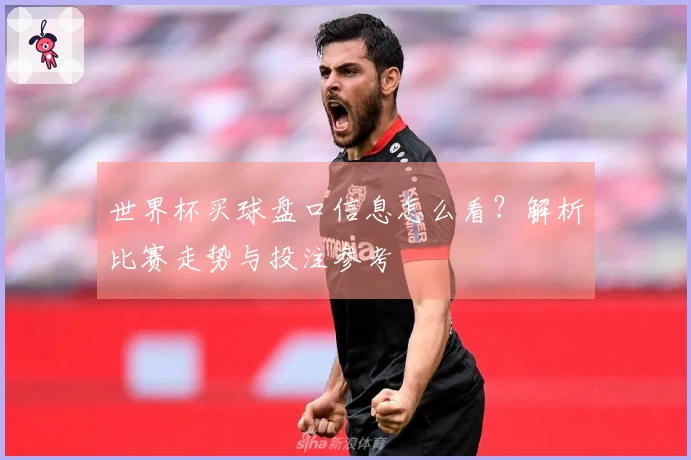 世界杯买球盘口信息怎么看？解析比赛走势与投注参考