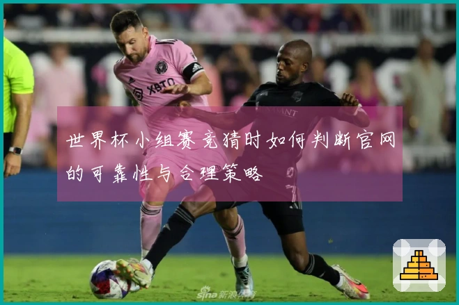 世界杯小组赛竞猜时如何判断官网的可靠性与合理策略