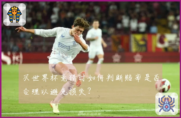 买世界杯竞猜时如何判断赔率是否合理以避免损失？