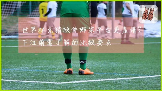 世界杯竞猜软件哪家平台更靠谱？下注前需了解的比较要点