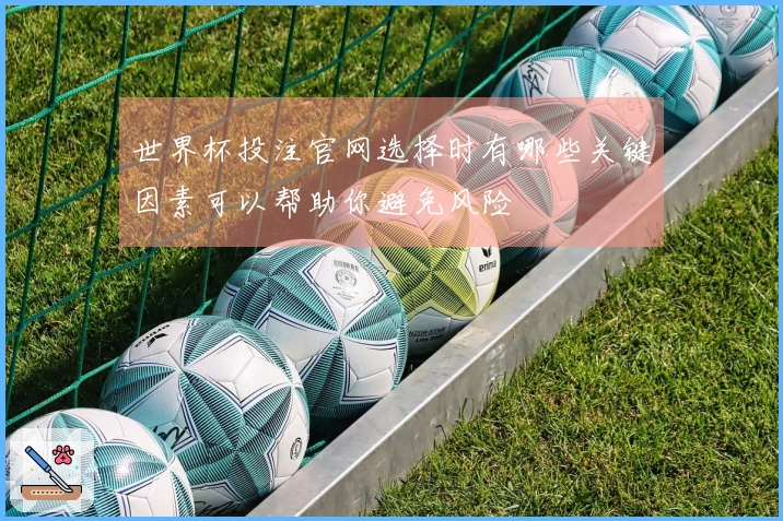 世界杯投注官网选择时有哪些关键因素可以帮助你避免风险