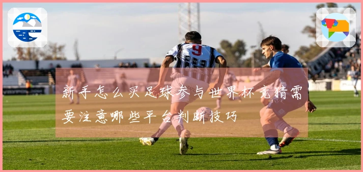 新手怎么买足球参与世界杯竞猜需要注意哪些平台判断技巧