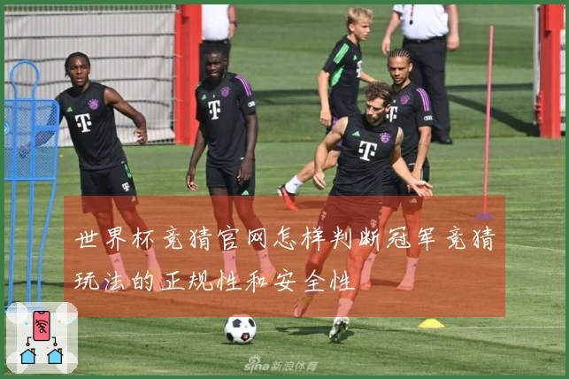 世界杯竞猜官网怎样判断冠军竞猜玩法的正规性和安全性