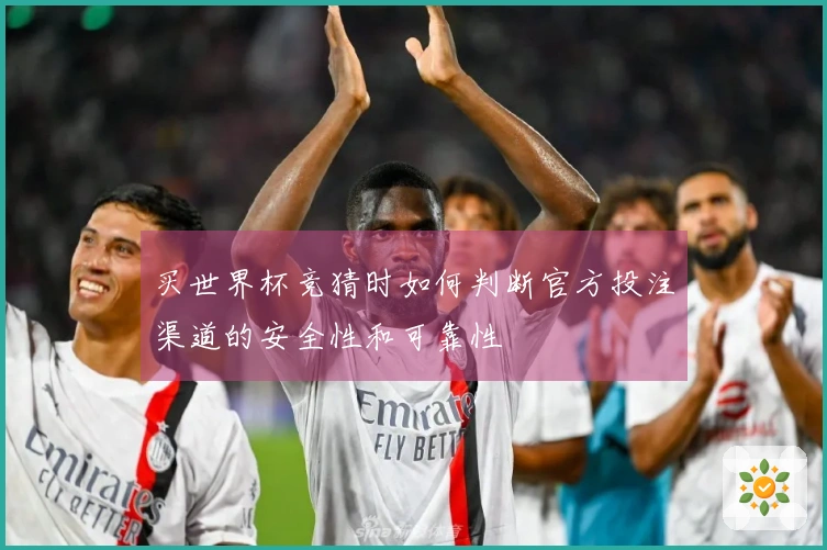 买世界杯竞猜时如何判断官方投注渠道的安全性和可靠性