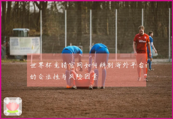 世界杯竞猜官网如何辨别海外平台的合法性与风险因素